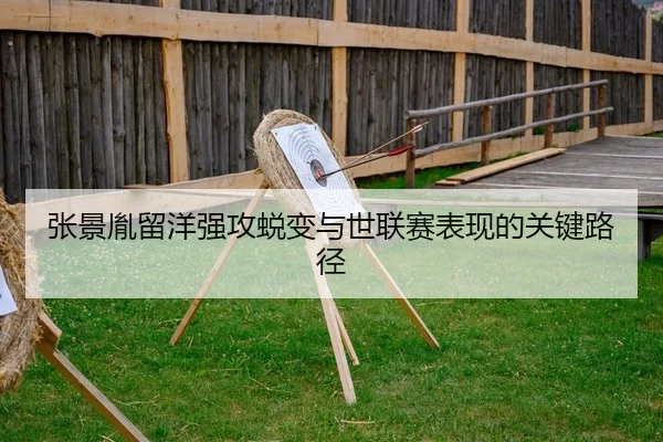 zhang-jing-yin-liu-yang-qiang-gong-tui-bian-yu-shi-lian-sai-biao-xian-de-guan-jian-lu-jing-2-628.jpg