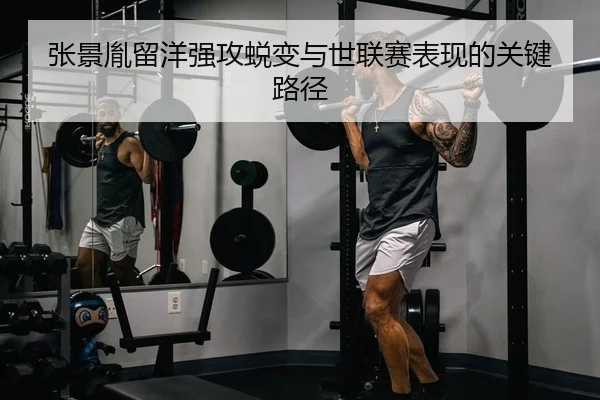 张景胤留洋强攻蜕变与世联赛表现的关键路径